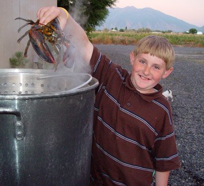 Lobster